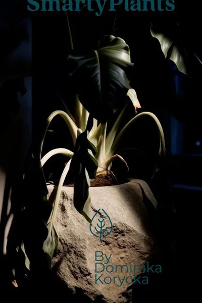 Assisted help for plants poster