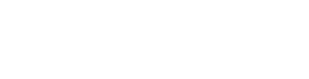 IPVISE