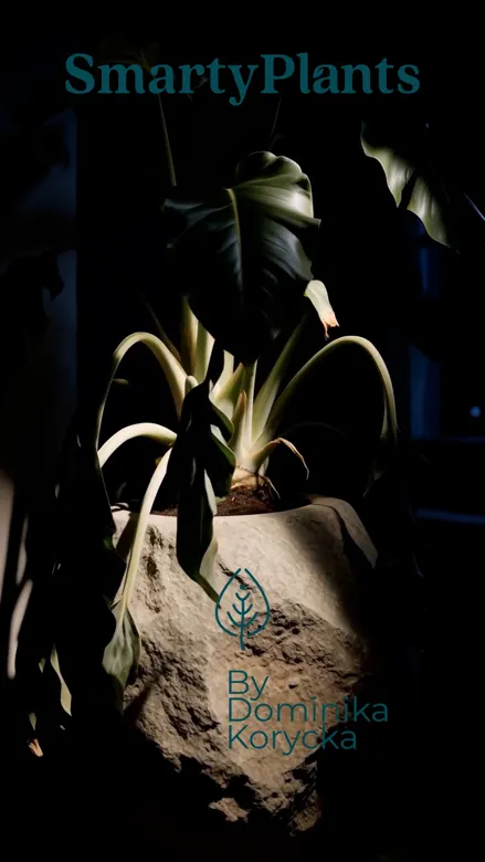 Poster for Assisted help for plants: a SmartyPlants solution